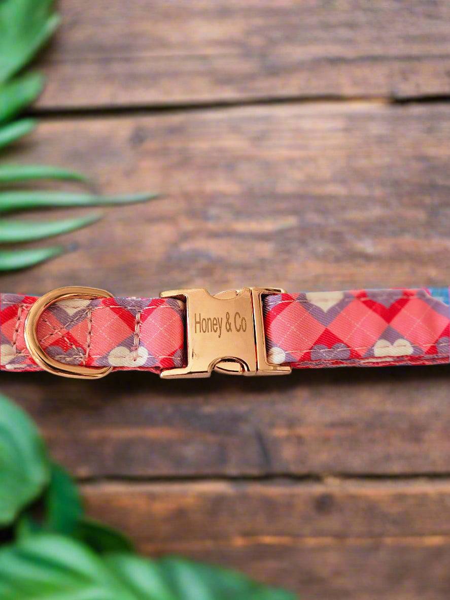 Honey's Hearts Dog Collar by Honey & Co featuring a red and pink heart pattern with a gold buckle on a wooden background.