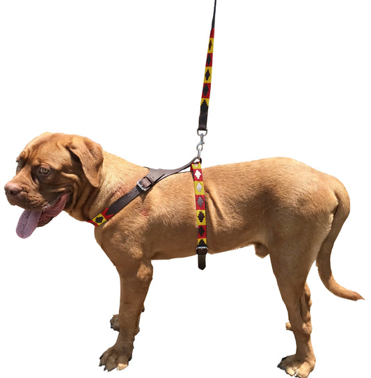 ANDALGALÁ - Polo Dog Harness & Lead Set-0