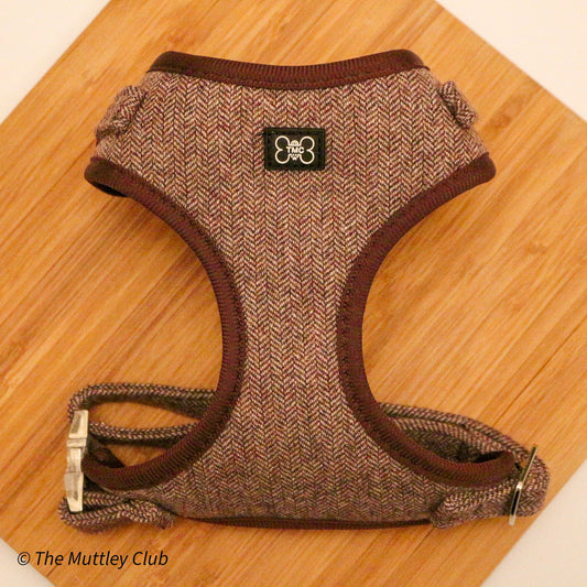 Peaky Paws Berry Harness - Honey & Co